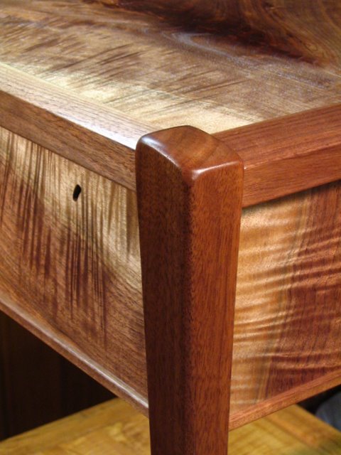 Front Left Leg Detail